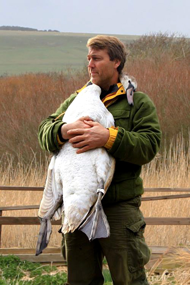 «Born To Explore: How to Be a Backyard Adventurer» de la PBS, en una visita a Abbotsbury Swannery 