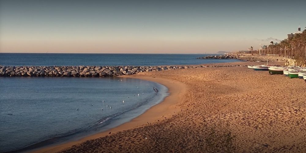 Aquí tenéis las mejores playas de España para ir con tu perro. Cada verano hay unas cuantas más. ¡Fantástico!