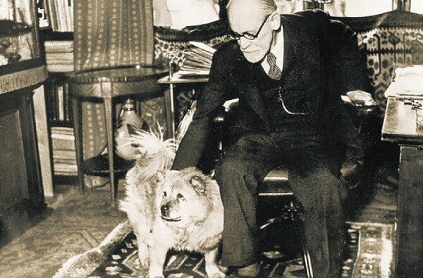 Los perros de Sigmund Freud llegaron tarde a su vida, pero luego no pudo vivir sin su compañía. Sentía debilidad por los chow chow.