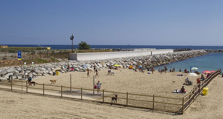Aquí tenéis las mejores playas de España para ir con tu perro. Cada verano hay unas cuantas más. ¡Fantástico!