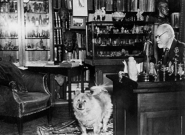 Los perros de Sigmund Freud llegaron tarde a su vida, pero luego no pudo vivir sin su compañía. Sentía debilidad por los chow chow.