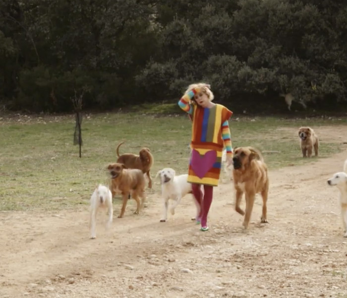 Agatha Ruiz de la Prada no puede vivir sin perros. Adora a los animales; de hecho dice que no tener animales es una horterada.