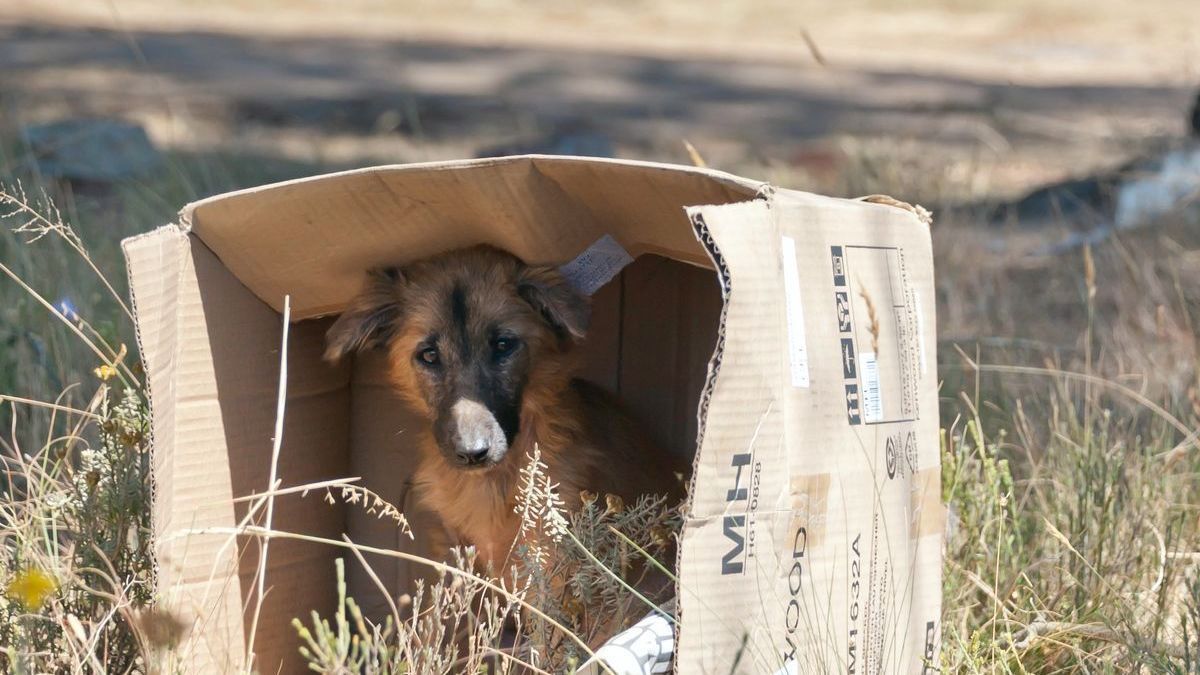 «Mírame. Dímelo a la cara. ¿Por qué me abandonas?»