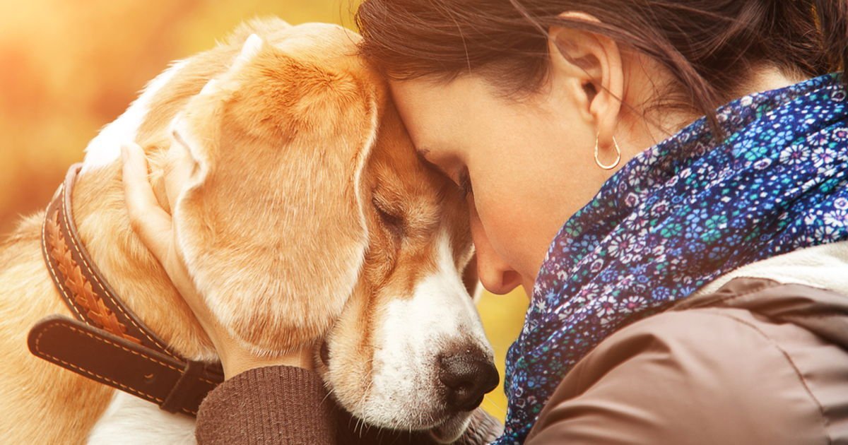 Los perros son animales empáticos