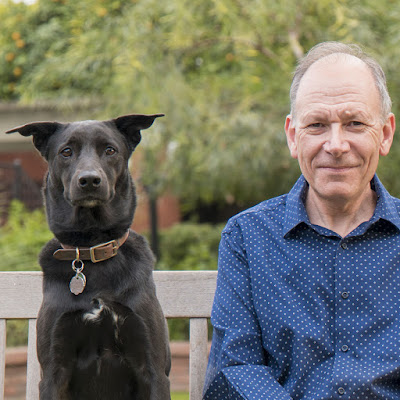 ¿Los perros son animales empáticos? Sin duda que sí, son empáticos por naturaleza. Y tiene muy desarrolladas sus facultades sensoriales.