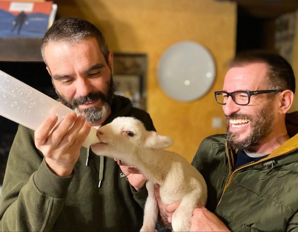 Santuario Gaia, un paraíso animal entre montanas. Acoge animales maltratados y les da una vida maravillosa, rodeada de naturaleza.