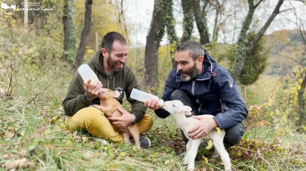 Santuario Gaia, un paraíso animal entre montanas. Acoge animales maltratados y les da una vida maravillosa, rodeada de naturaleza.