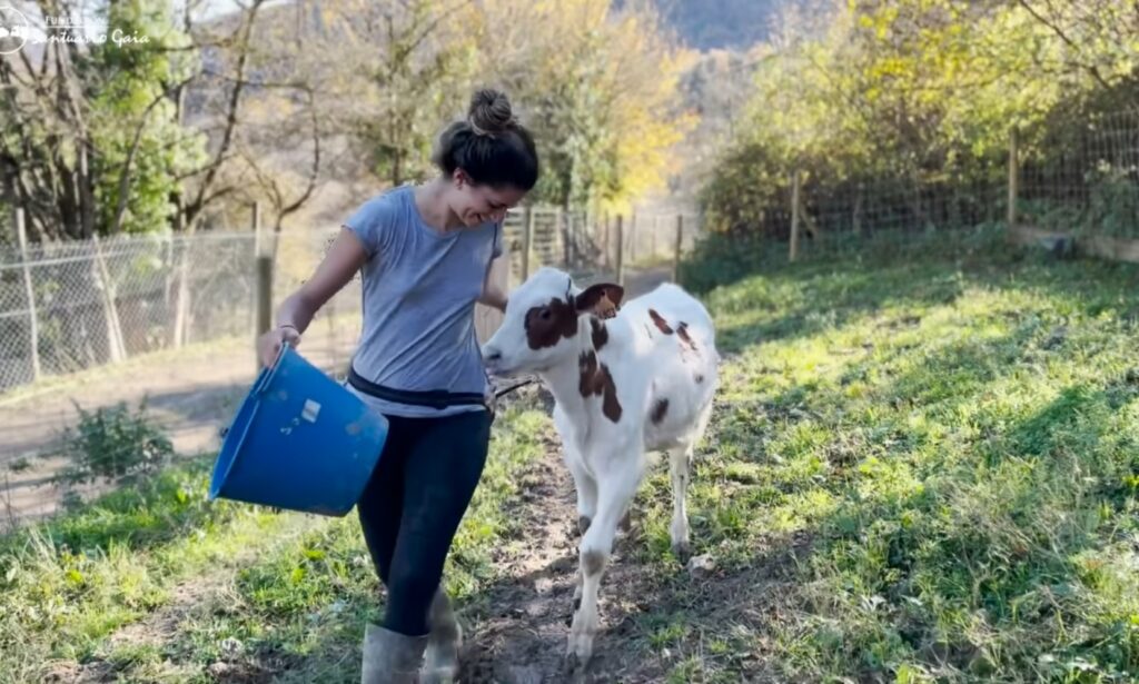 Santuario Gaia, un paraíso animal entre montanas. Acoge animales maltratados y les da una vida maravillosa, rodeada de naturaleza.