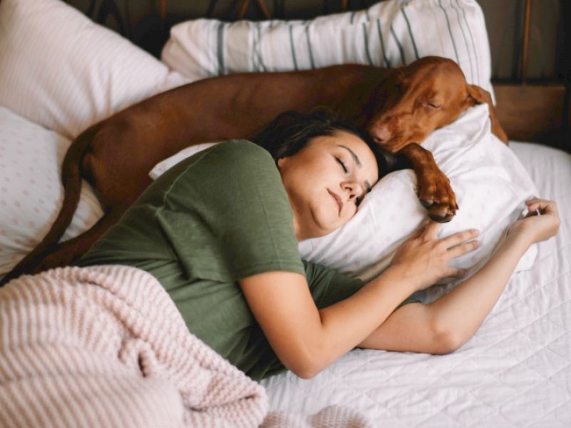 Dormir con tu perro es saludable. Así lo demuestran algunos estudios científicos que se han llevado a cabo recientemente. 