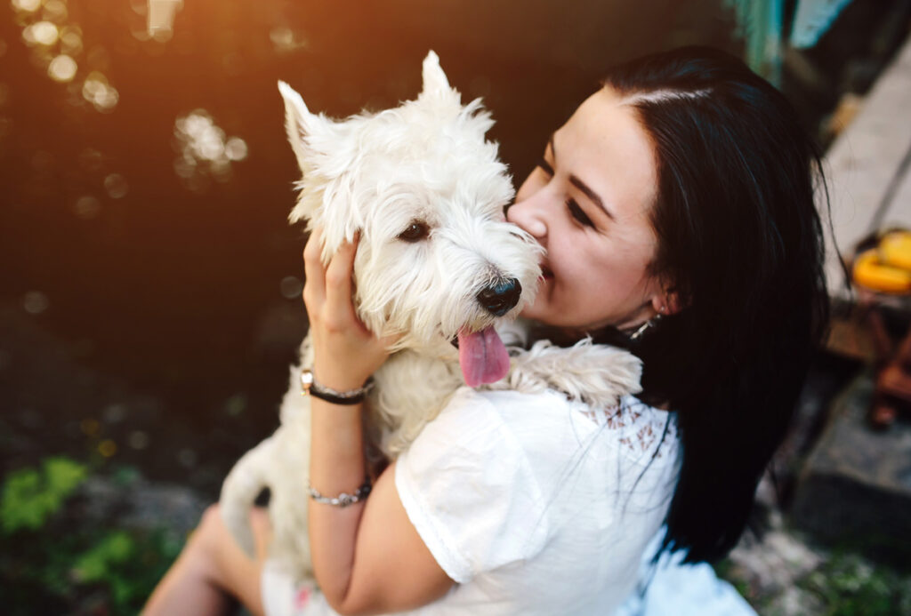 El perro es uno de los mejores compañeros de vida posible. Compartir tu vida con él es un auténtico lujo y realmente enriquecedor.