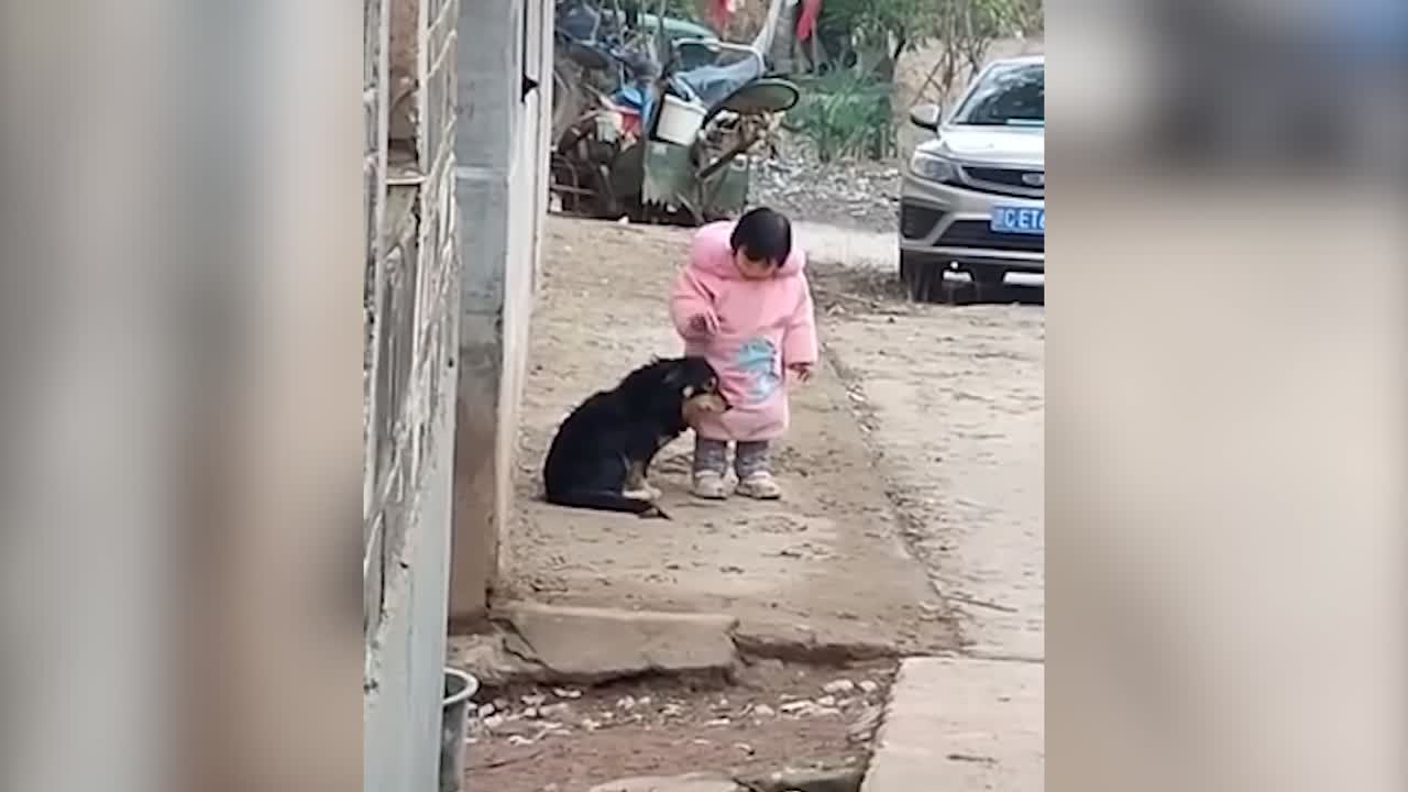 Una niña le tapa las orejas a su perro, asustado  por los fuegos artificiales del Año Nuevo chino