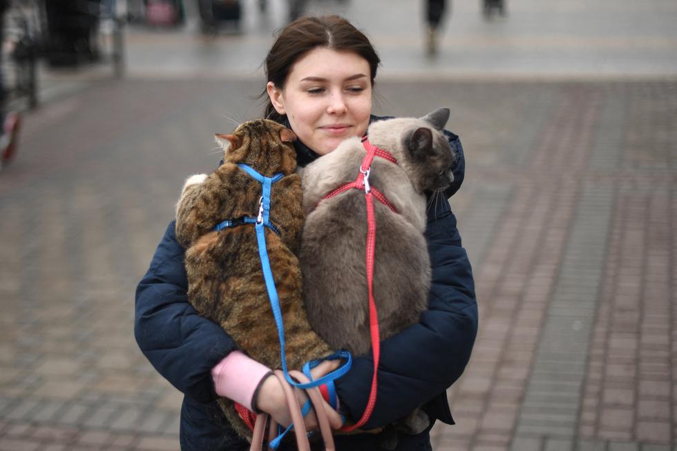 Los animales en Ucrania están viviendo una situación dramática. Muchos voluntarios luchan para poner sus vidas a salvo.