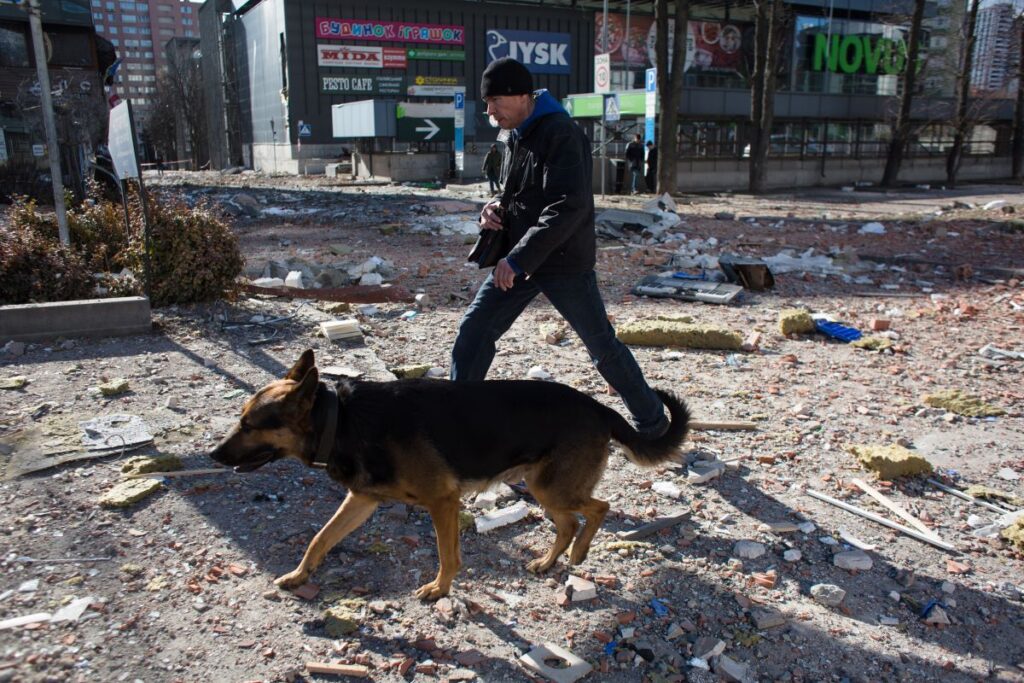 Los animales en Ucrania están viviendo una situación dramática. Muchos voluntarios luchan para poner sus vidas a salvo.