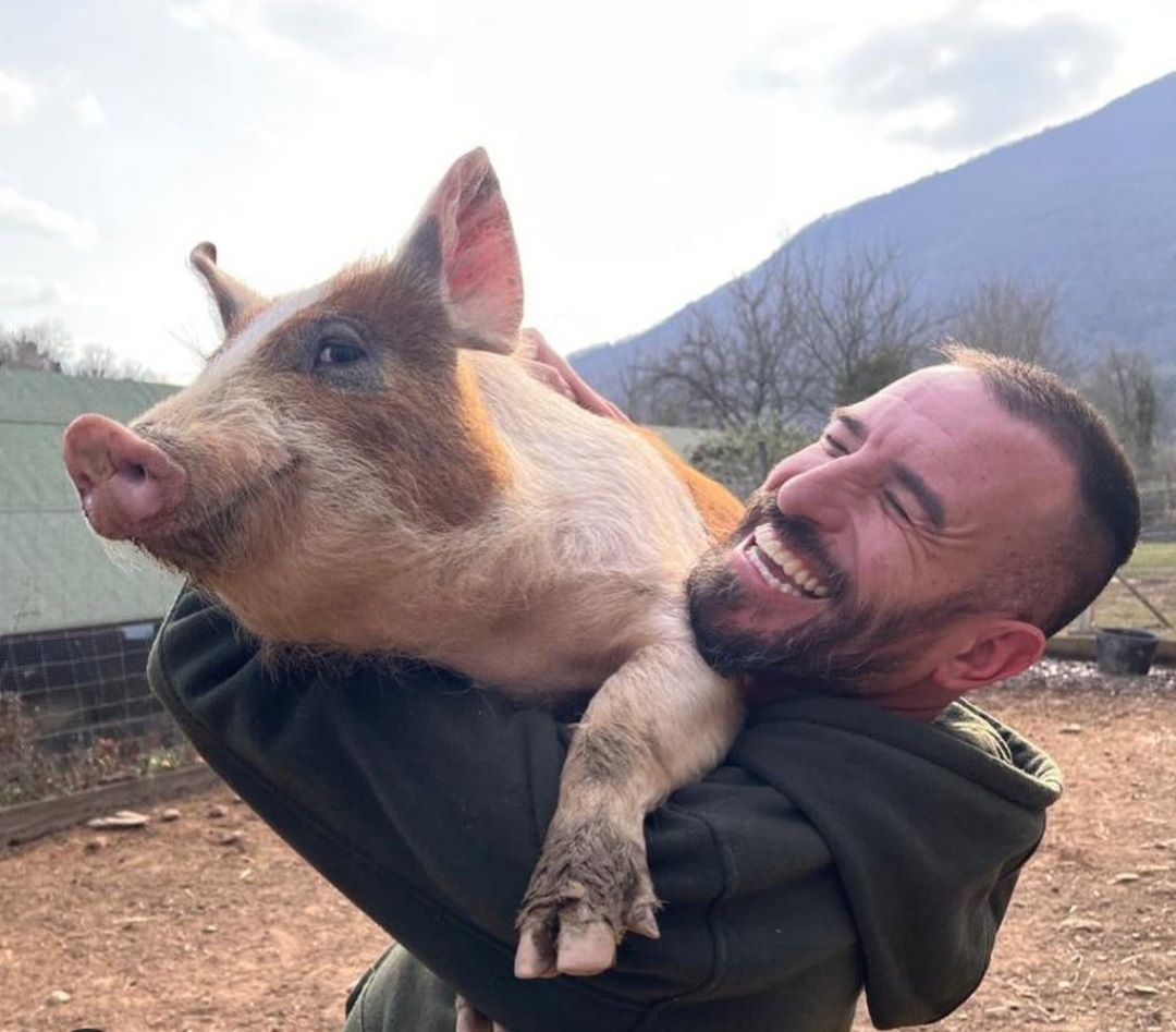 Santuario Gaia, un paraíso animal entre montañas