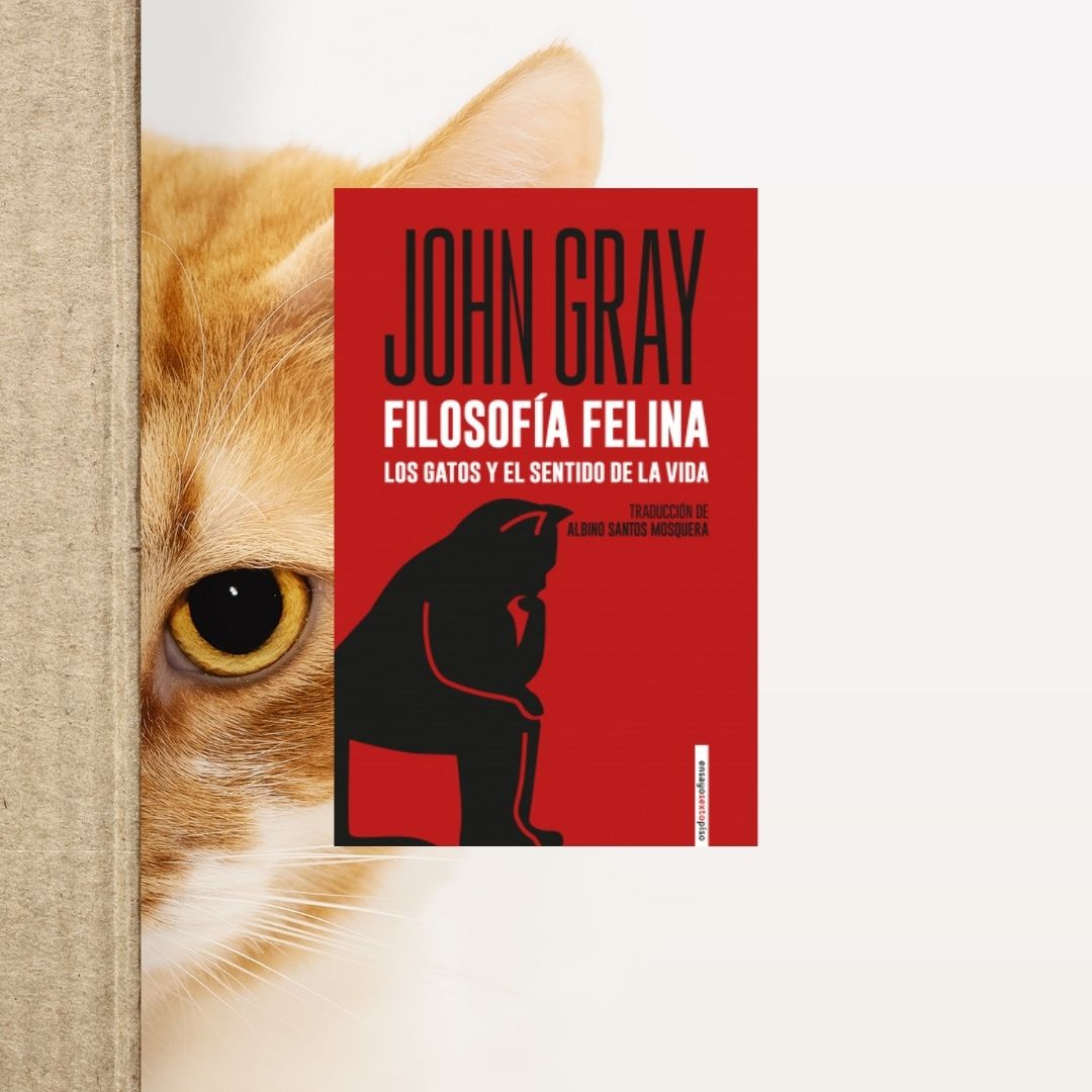 ¿Tú qué harías para llevar una vida de gato?