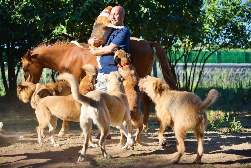 Un empresario turco acoge animales abandonados y los cuida en su casa de Estambul. Es admirable. Vale la pena leer este reportaje.