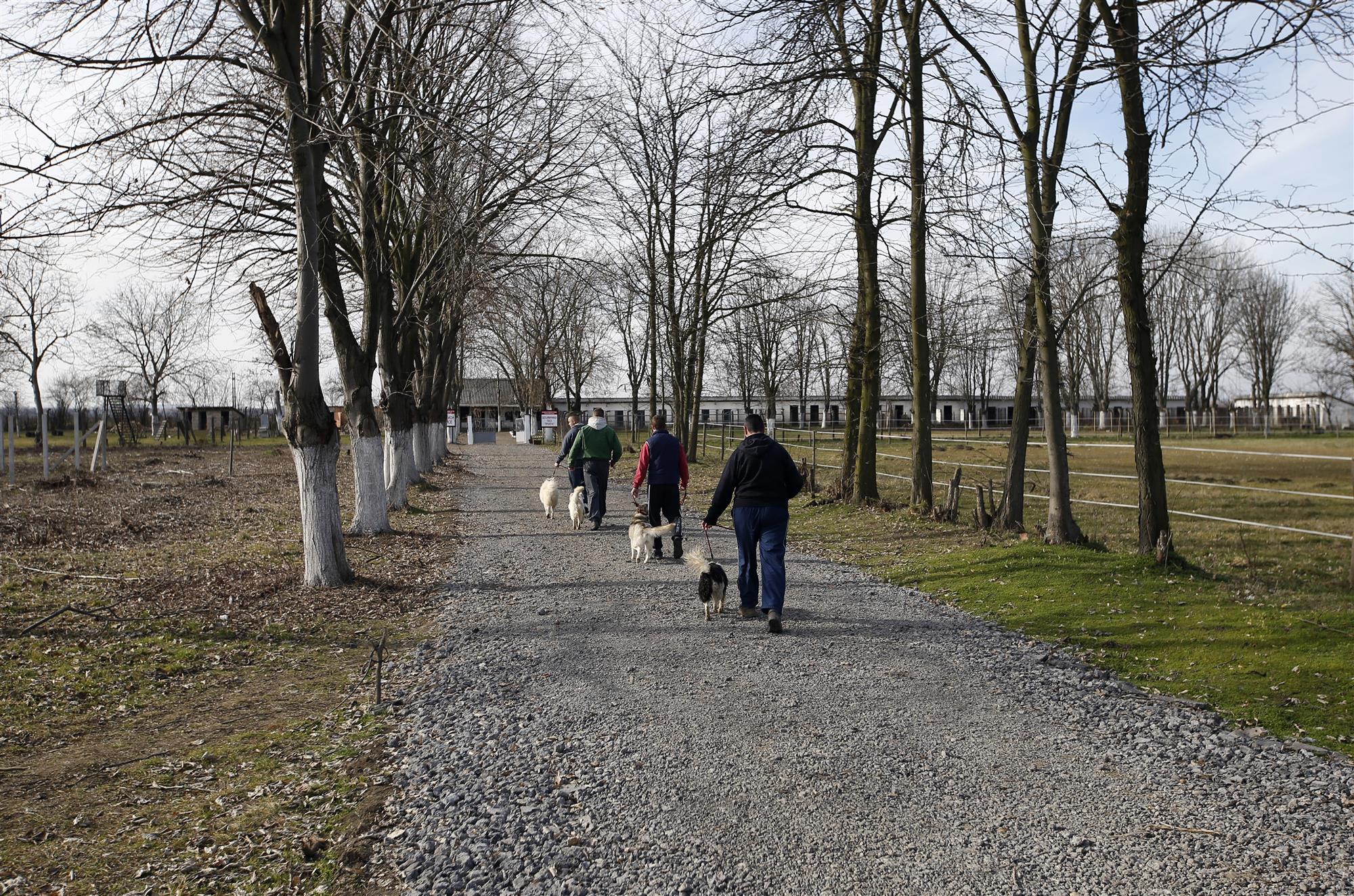 Un refugio para perros en la prisión más grande de Serbia