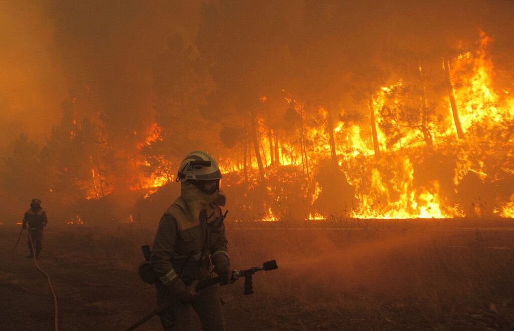 Los incendios en España acaban con la vida de miles de animales.