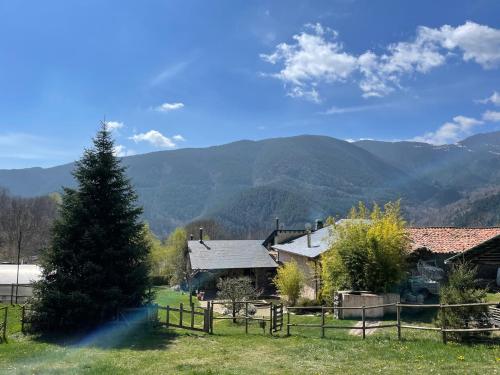 Un paraíso para los perros en pleno Pirineo catalán.