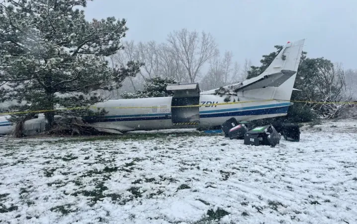 Un avión se estrella con 53 perros a bordo.