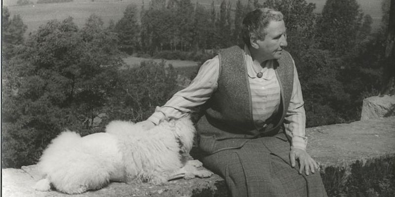 A la escritora Gertrude Stein le gustaban mucho los perros y siempre vivió rodeada de ellos, pero Basket fue uno de sus preferidos.