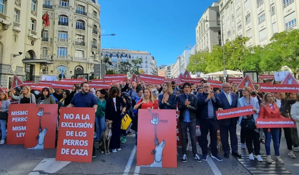 Mismos perros, misma ley. ¿Los perros de caza fuera de la nueva ley?