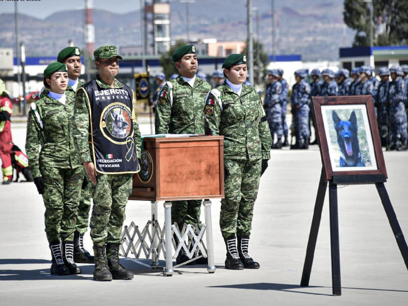 México rinde homenaje a Proteo.