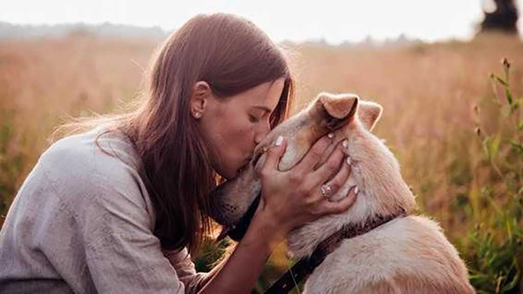 Parece que es cierto, los perros detectan quién es de fiar y quién no, así lo avalan algunos estudios y experimentos. Toda una proeza.