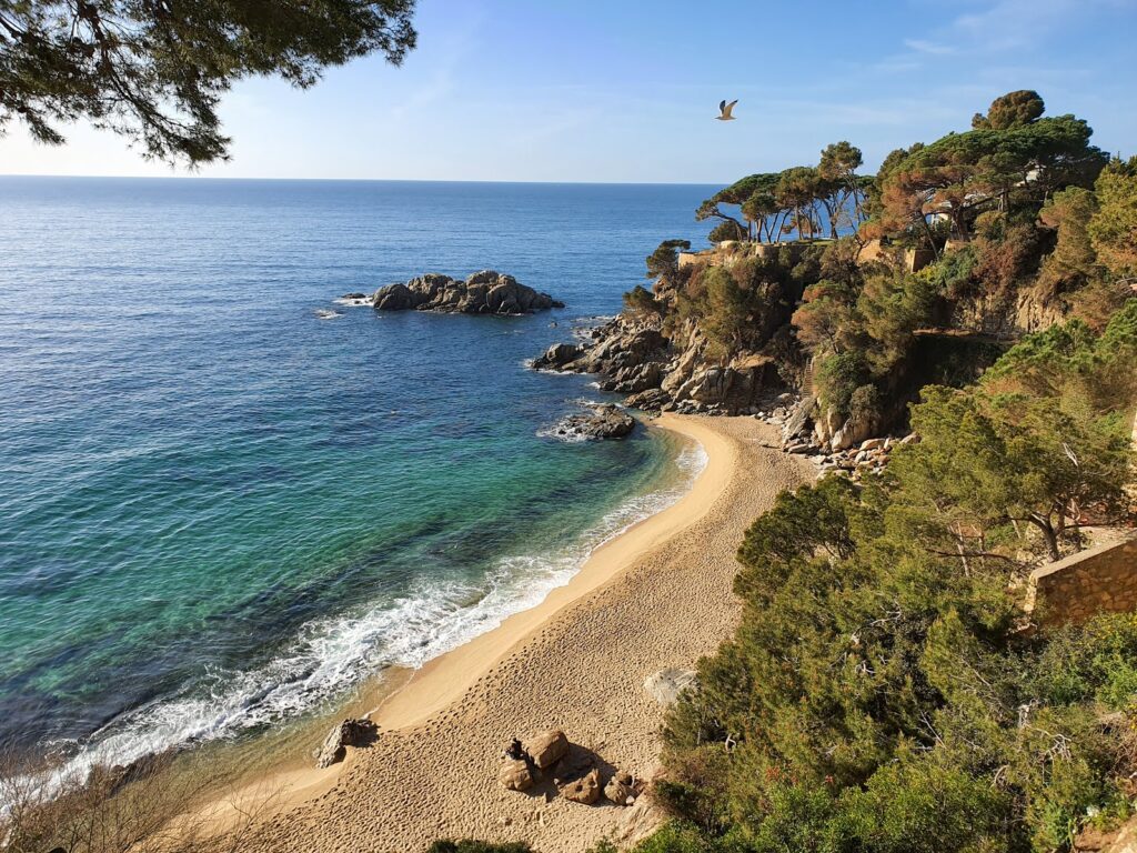 La cala Belladona, otra playa para perros entre Sant Antoni de Calonge y Platja d´Aro. Un hermoso paraje en el Baix Empordà.