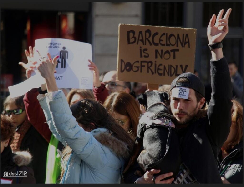 Espai Gos no deja de luchar para que los perros de Barcelona tengan sus necesidades cubiertas, es decir, para que los perros sean perros.