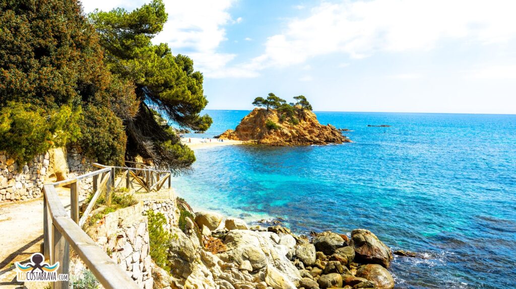 La cala Belladona, otra playa para perros entre Sant Antoni de Calonge y Platja d´Aro. Un hermoso paraje en el Baix Empordà.