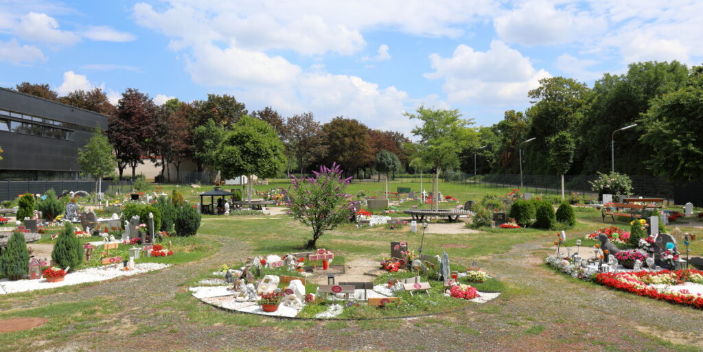 El ayuntamiento de Barcelona quiere hacer el primer cementerio de animales de compañía: apostar por su muerte ya que no apuestan por su vida.