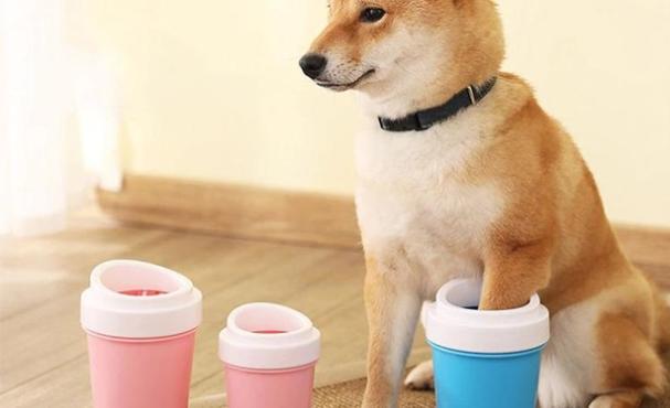 Un limpiador de patas para tu perro es una buena opción para llevar en el coche o tenerlo en el hogar. Pruébalo a tu perro le encantará.