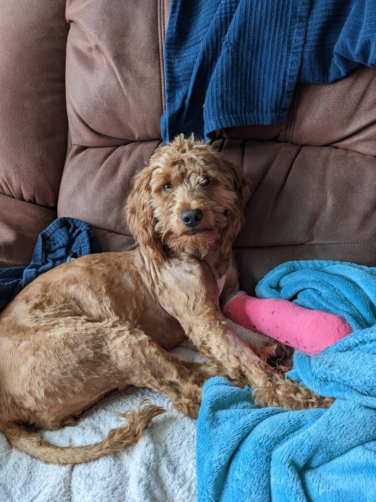 El rescate de Betty fue una hazaña. Sucedió en las aguas de Ilfracombe, en Devon. El equipo de guardacostas la rescató después de seis horas.