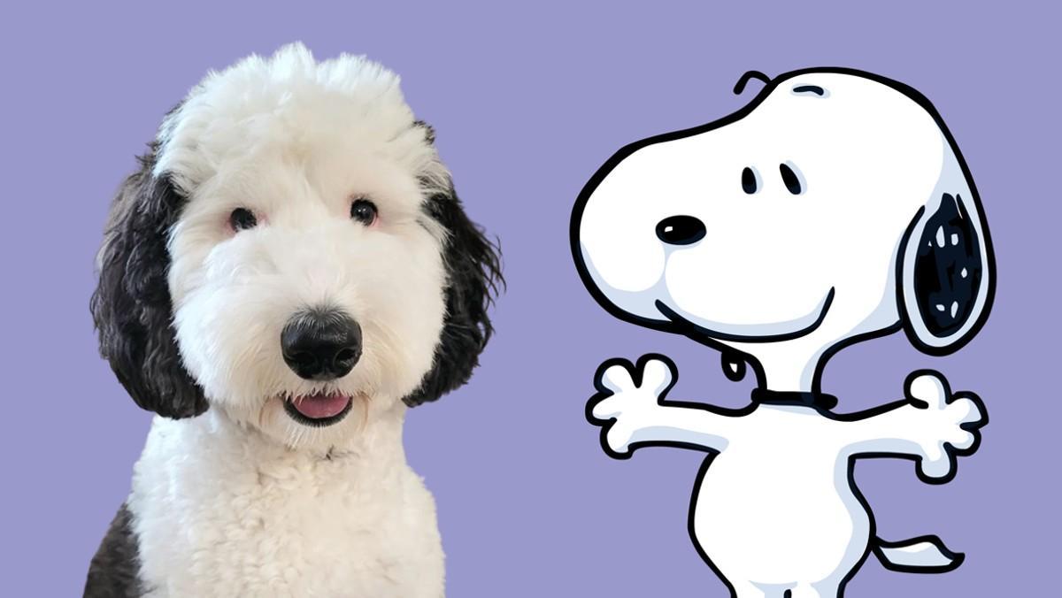 El doble de Snoopy