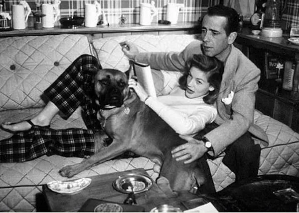 Los perros de Lauren Bacall y Humphrey Bogart ocuparon un lugar preponderante en sus vidas. De hecho, vivieron rodeados de ellos.