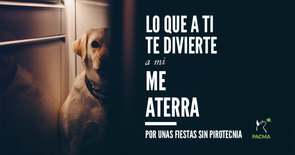 Los perros y los petardos son incompatibles. A ver cuándo se prohíben de una vez, y hay un respeto por los animales.