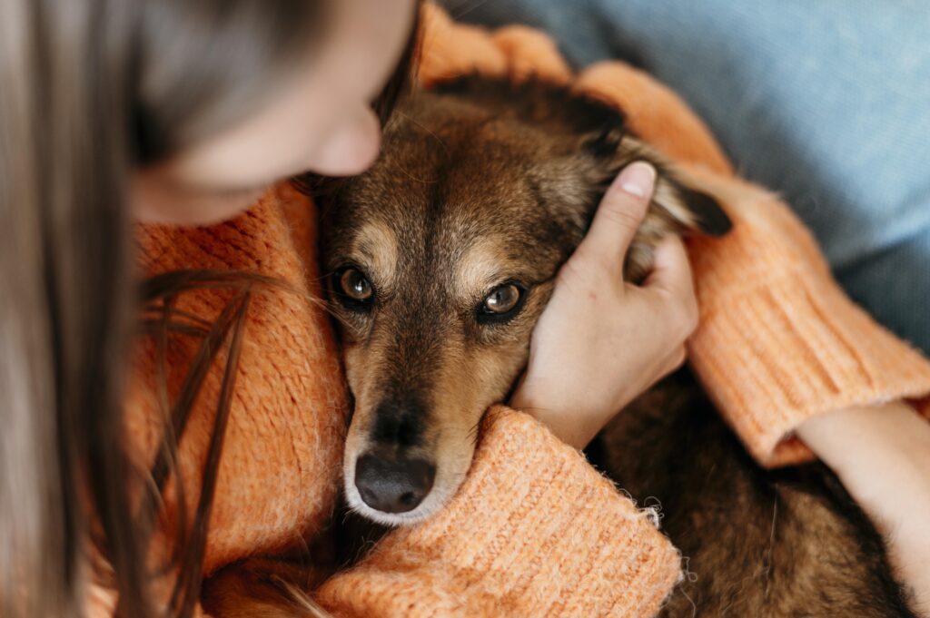 El duelo por un animal de compañía es un trauma emocional muy profundo. Sin embargo, no está bien visto en la sociedad.