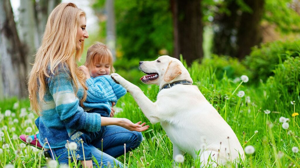 Los beneficios de crecer con animales son múltiples. Su compañía es enriquecedora y fomenta enormemente la empatía.