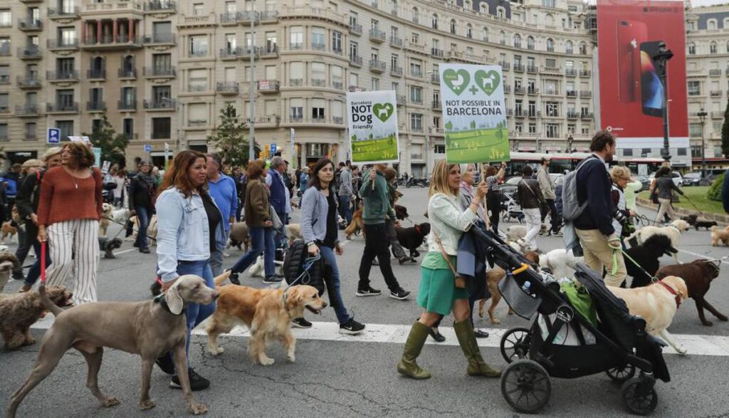 Es una realidad, Barcelona, por primera vez, aumenta en número de perros por encima de los niños de entre 0 y a12 años.