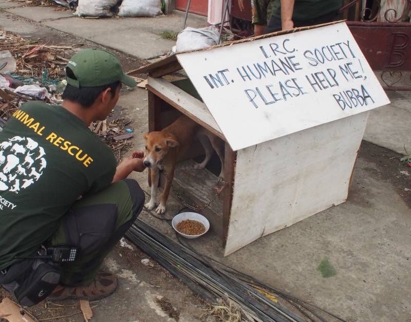 Human Society International es una de las principales organizaciones que lucha por el bienestar de los animales en todo el mundo.