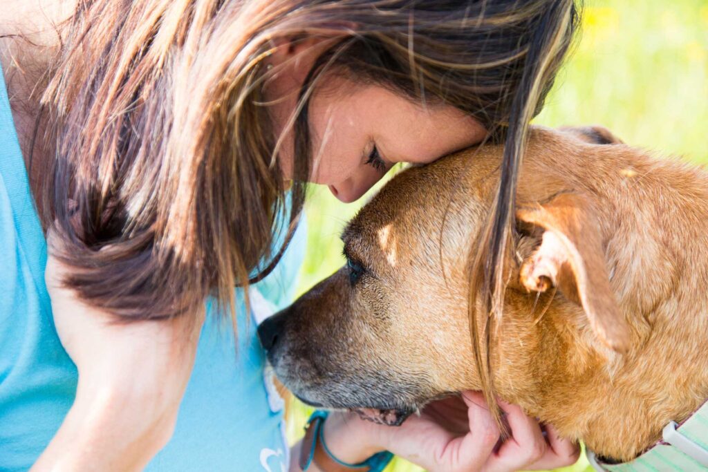 Aumentan las adopciones de animales de compañía en España. La gran labor que llevan a  cabo las protectoras es admirable.