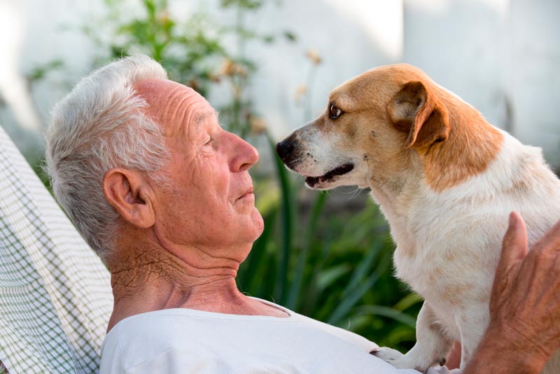 Es ya una evidencia: vivir con perro nos alarga la vida. Los beneficios que nos aporta su compañía son múltiples, tanto físicos como mentales