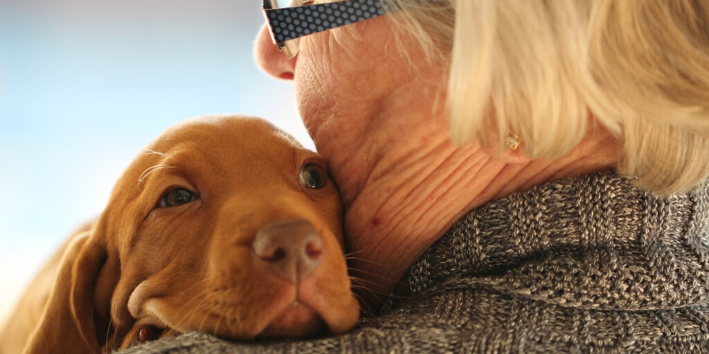 Es ya una evidencia: vivir con perro nos alarga la vida. Los beneficios que nos aporta su compañía son múltiples, tanto físicos como mentales