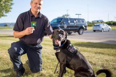 La organización Jordan Detection K9 se dedica, con la ayuda de perros labradores a cazar pederastas. 