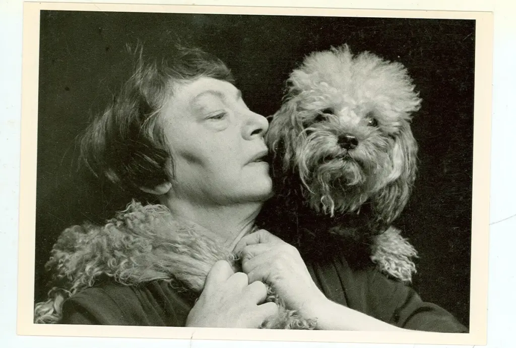 Los perros de Dorothy Parker. La escritor  siempre vivió en compañía de perros. De hecho, murió junto a su perro Troy. Pero..., ¿Quién era Dorothy Parker?