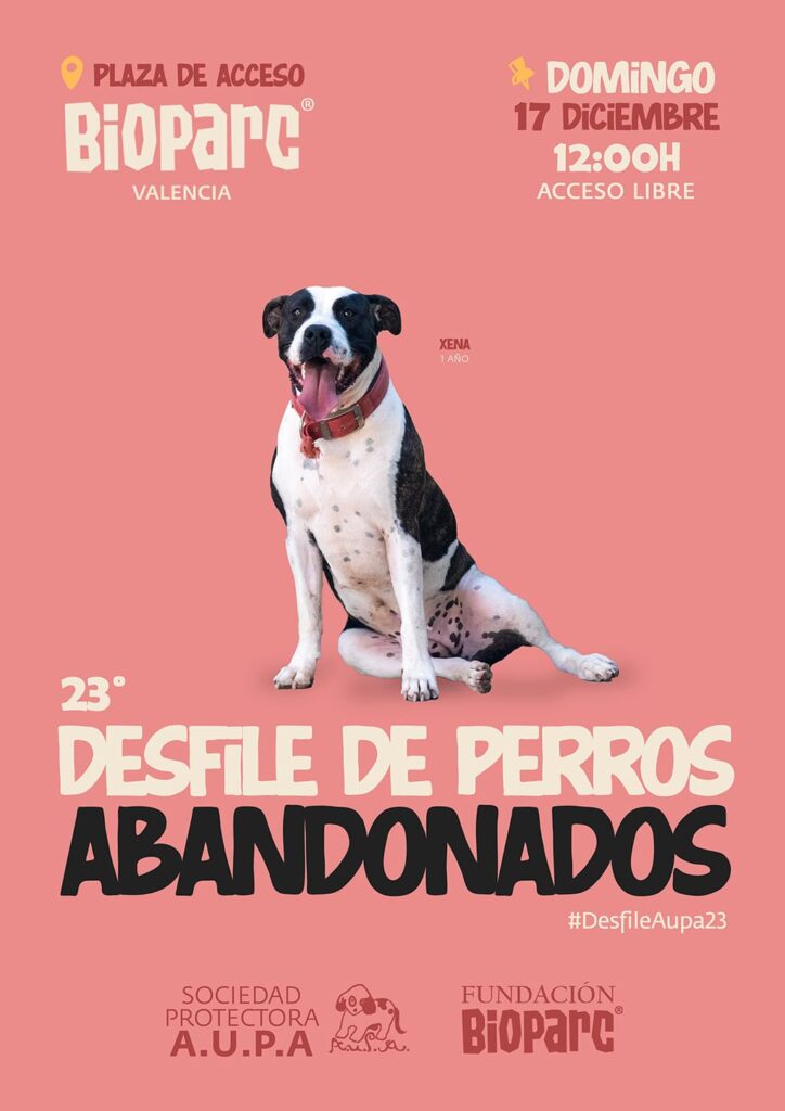 Bioparc y AUPA, en Valencia, apuestan por la adopción de perros abandonados en su XXIII edición, el 17 de diciembre de 2023